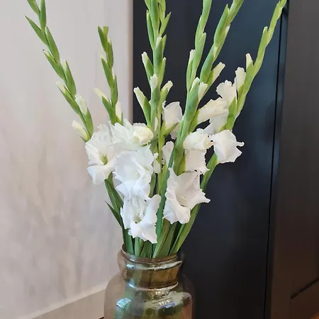 Apartment Delight *